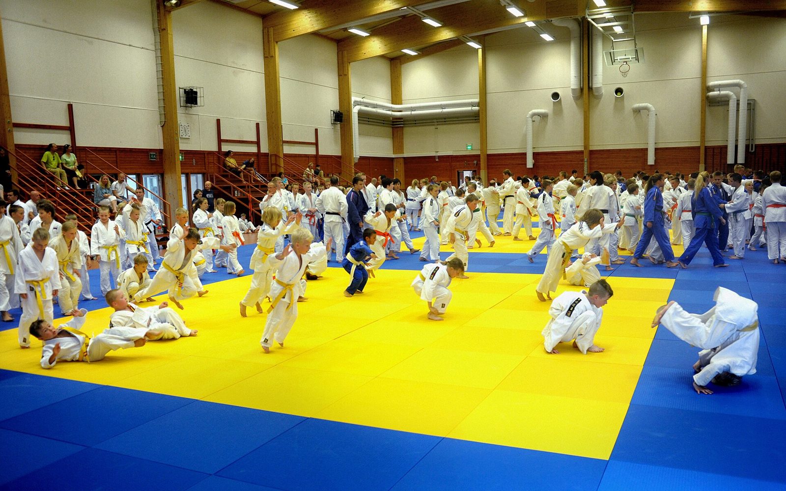 Un grand groupe de judokas de tous âges s'entraîne dans une salle aux tatamis jaunes et bleus